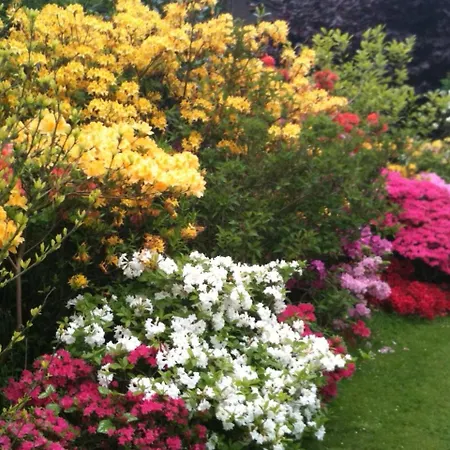 Topas Wilhelmshaven